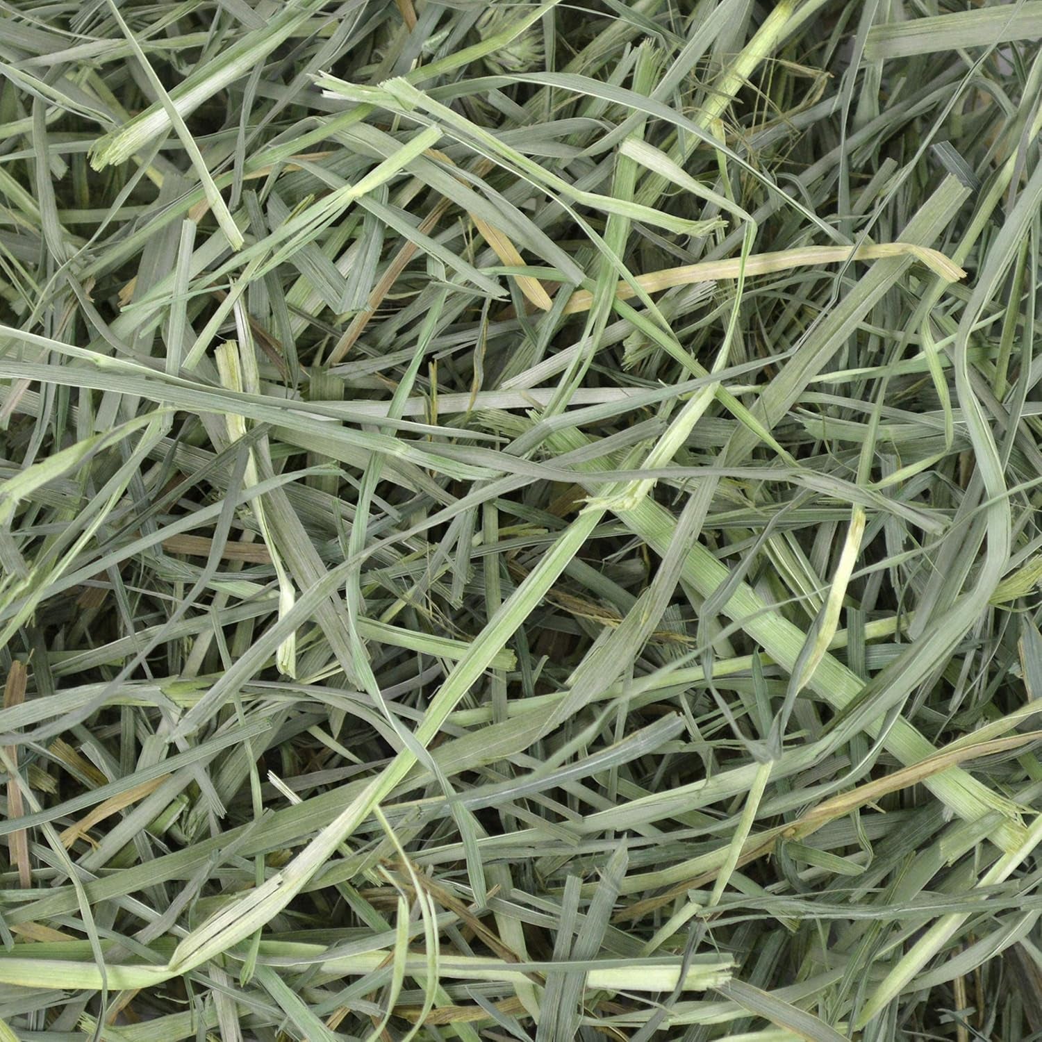 Animal Health Orchard Grass Hay - All Natural Grass Hay for Chinchillas, Rabbits, Guinea Pigs, Hamsters, Gerbils & Other Small Pets - Grown in the USA- Fiber Rich- 40 Oz.