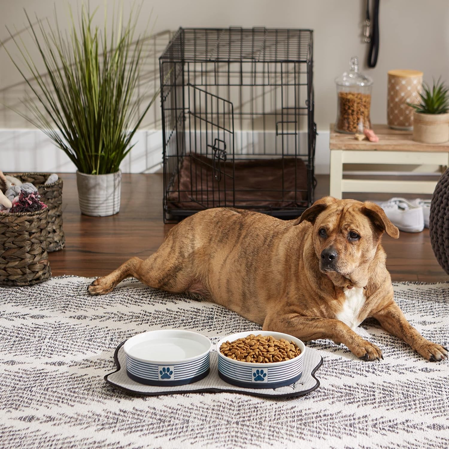 Paw & Patch Ceramic Pet Collection, Large Set, 7.5X2.4