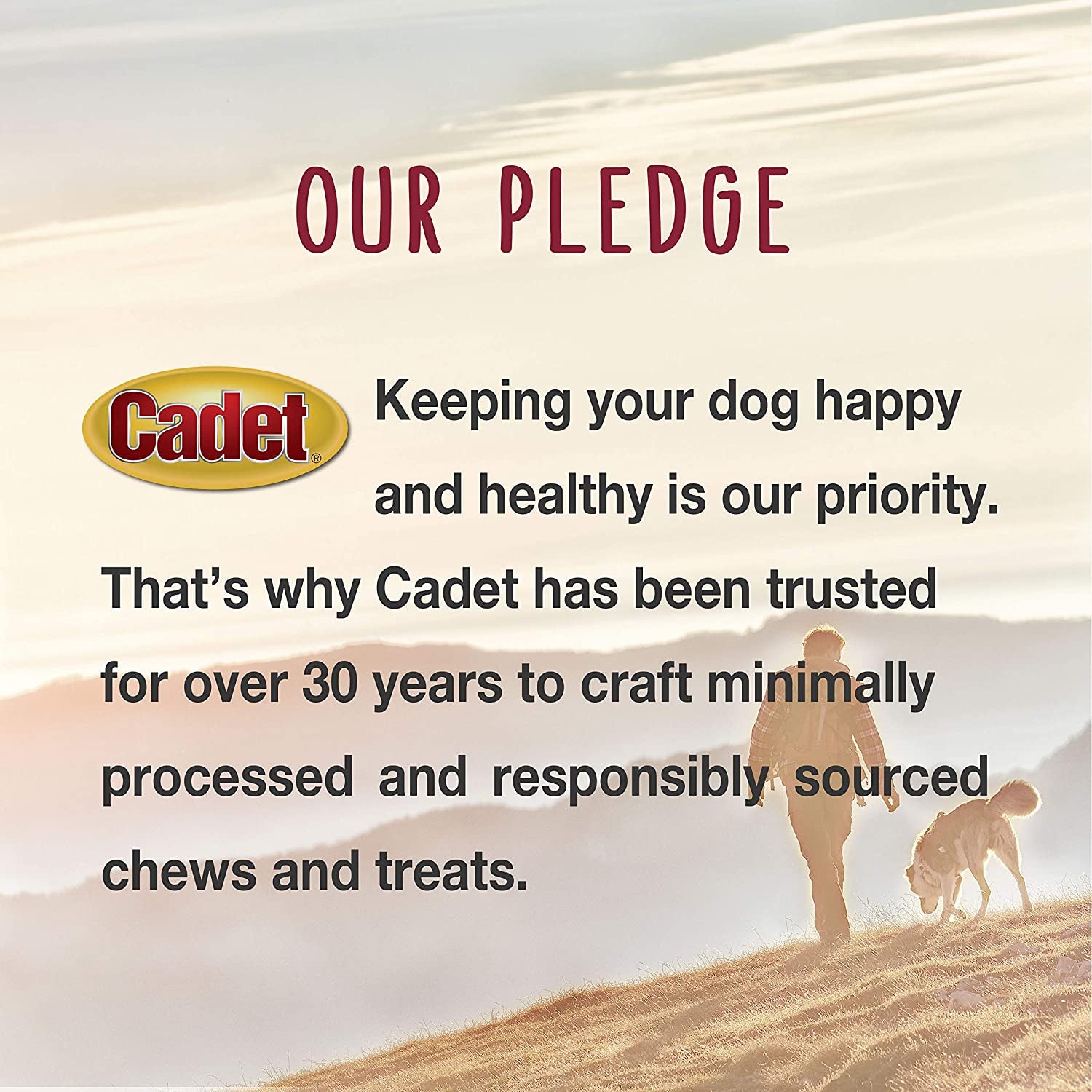Gourmet Duck Breast Jerky Dog Treats, Healthy, Long-Lasting High-Protein Training Treats for Small & Large Dogs, 14 Oz.