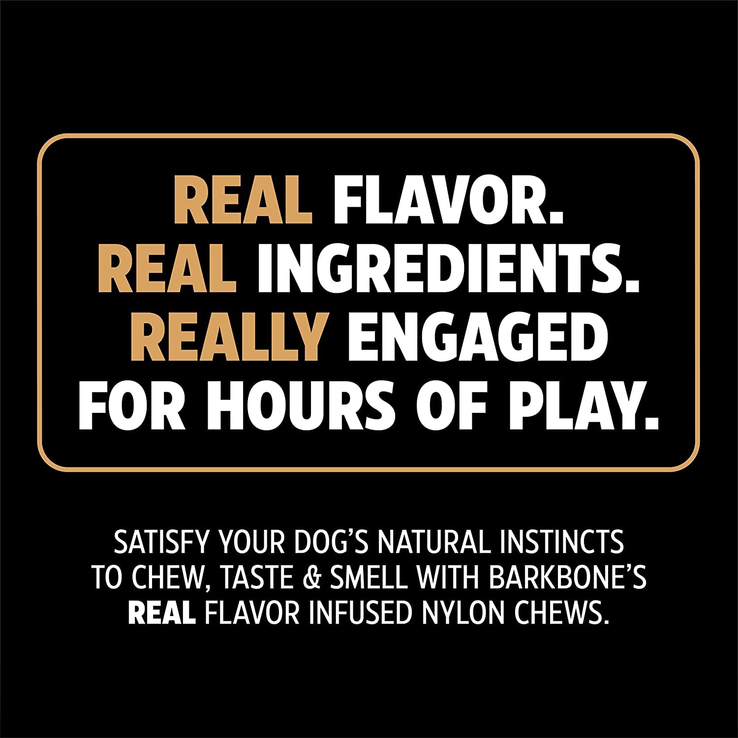 Dinosaur Barkbone - Nylon Dog Bone for Aggressive Chewers - Bacon Flavor - 8.5