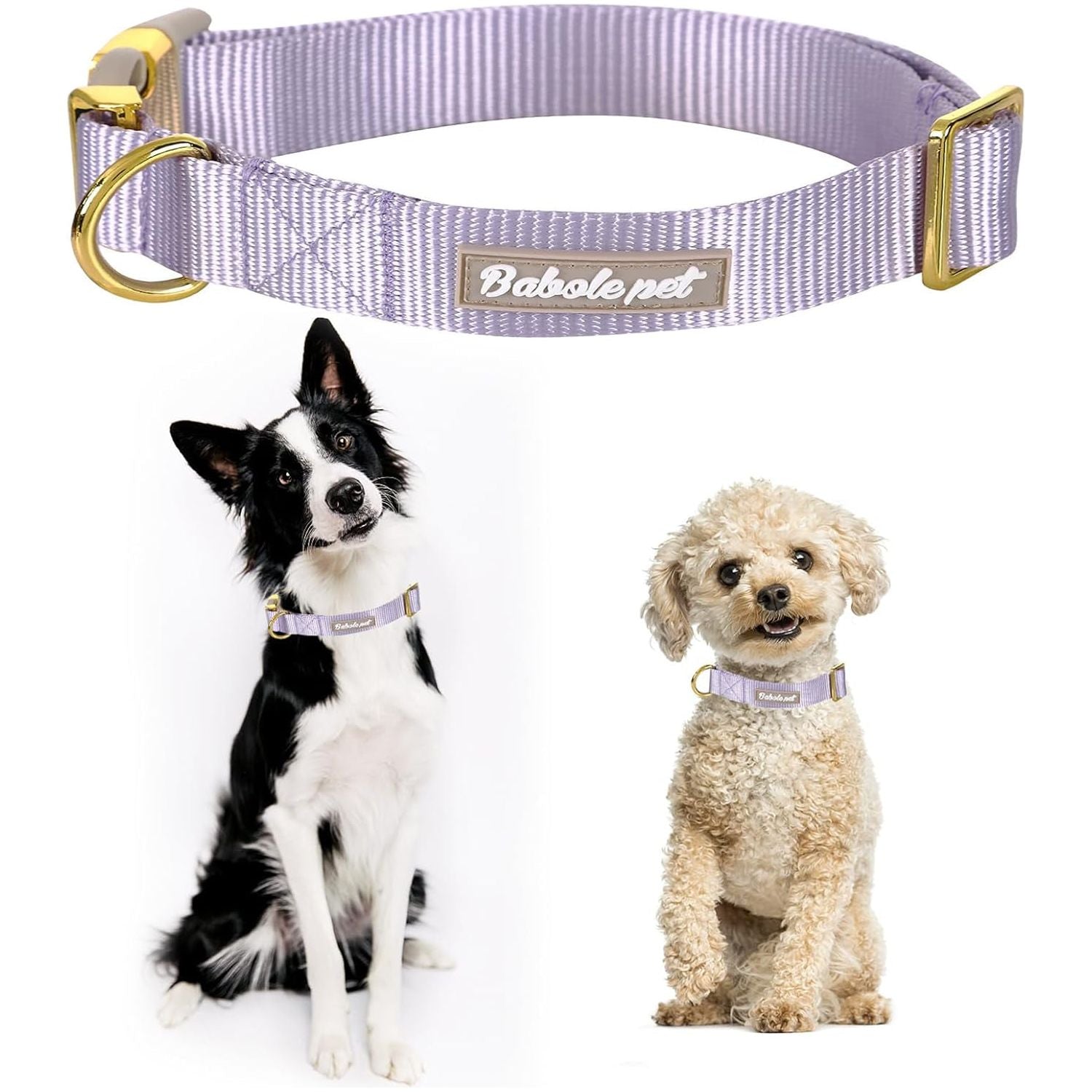 Nylon Dog Collar - Adjustable Lavender Soft Webbing Dog Collars for Small Medium Large Dogs Boy Girl Puppy Collar with Safety Metal Buckle S