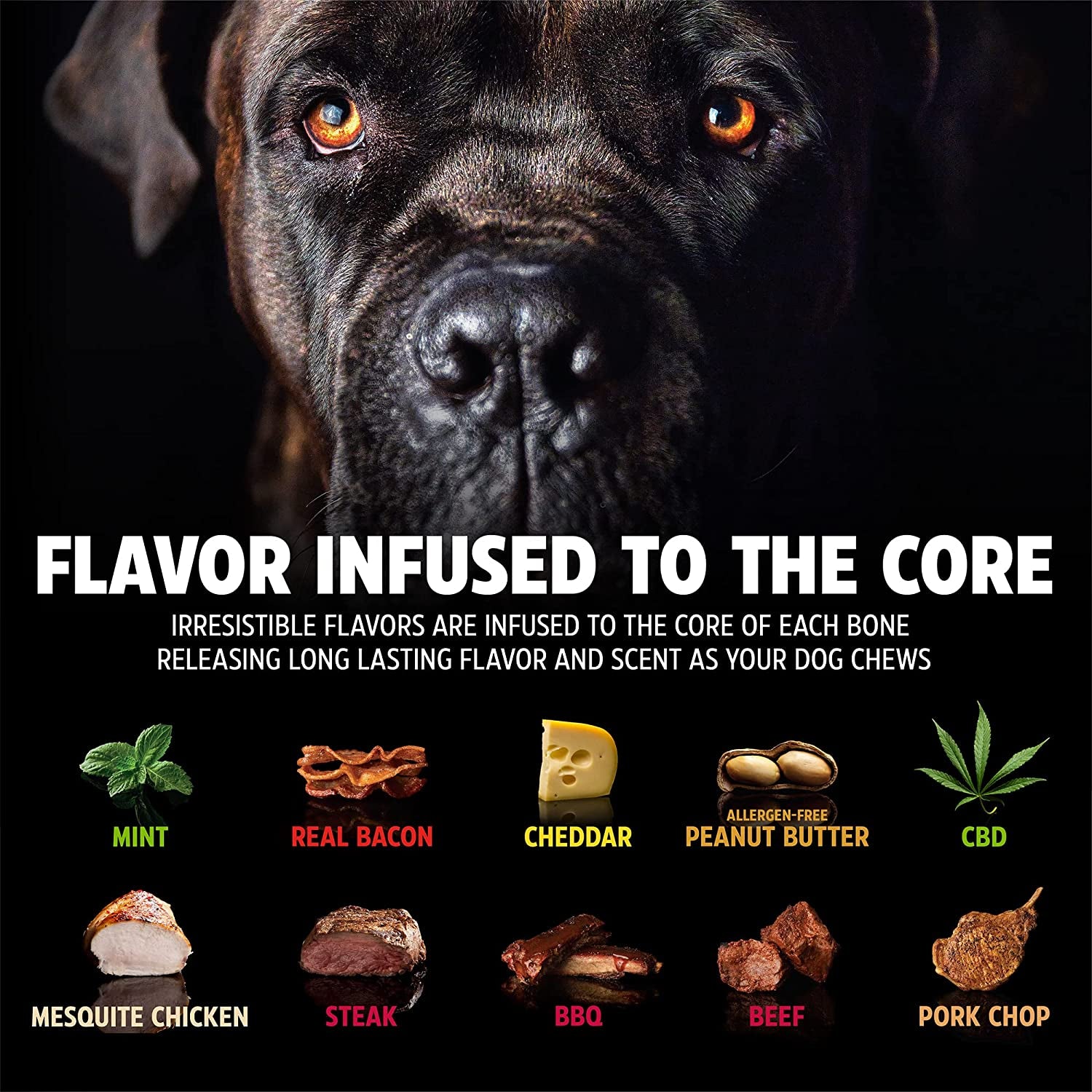 Dinosaur Barkbone - Nylon Dog Bone for Aggressive Chewers - Bacon Flavor - 8.5