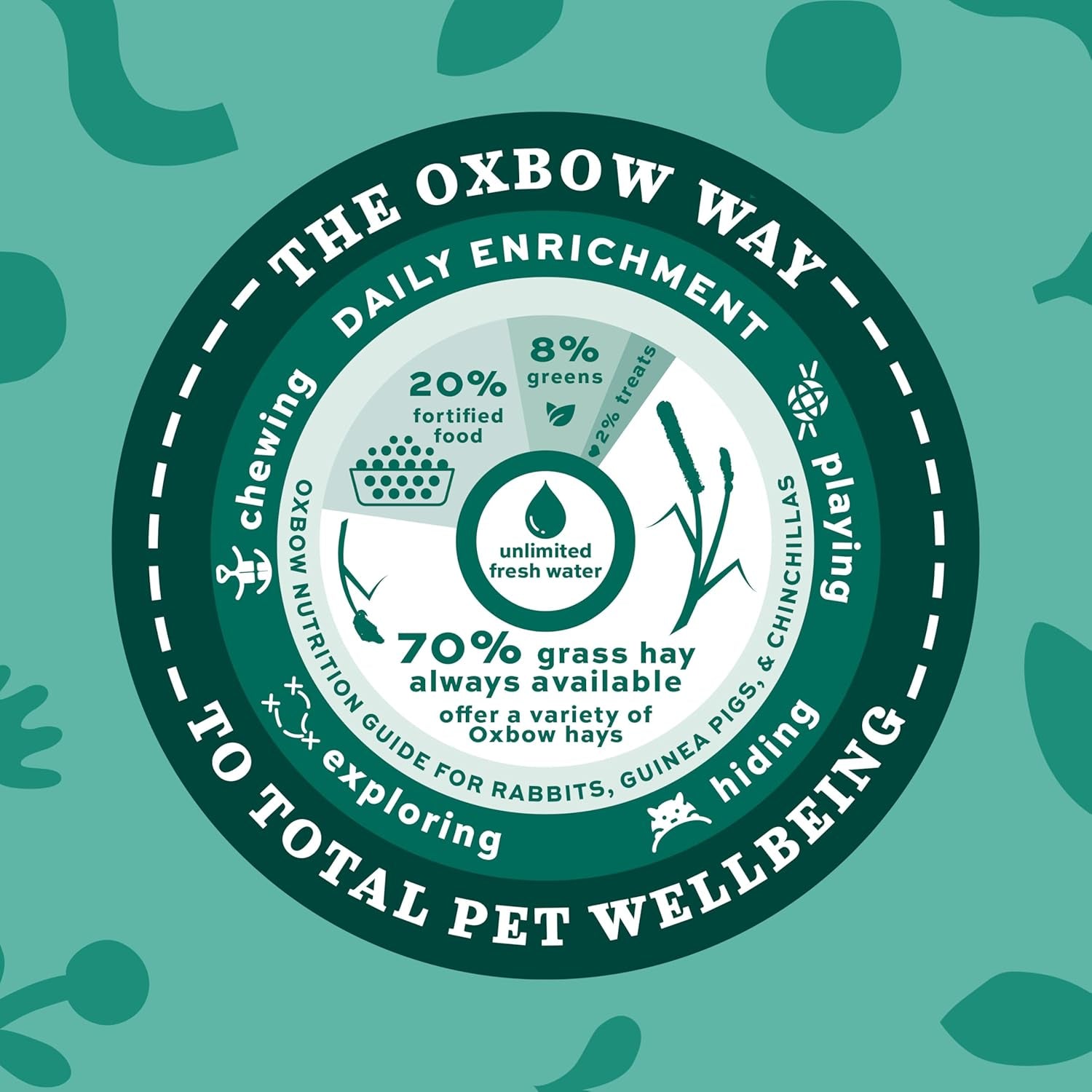Animal Health Orchard Grass Hay - All Natural Grass Hay for Chinchillas, Rabbits, Guinea Pigs, Hamsters, Gerbils & Other Small Pets - Grown in the USA- Fiber Rich- 40 Oz.