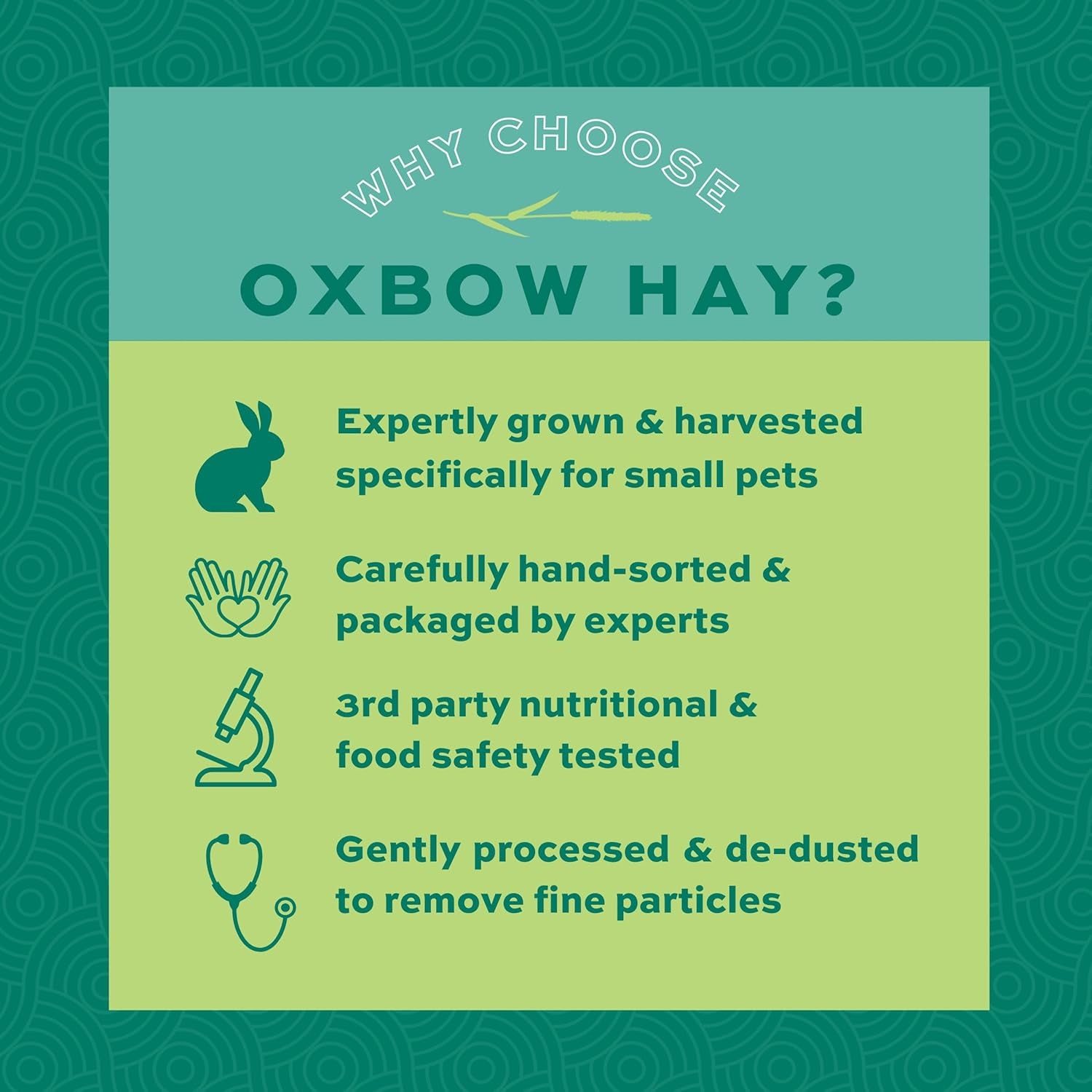 Animal Health Orchard Grass Hay - All Natural Grass Hay for Chinchillas, Rabbits, Guinea Pigs, Hamsters, Gerbils & Other Small Pets - Grown in the USA- Fiber Rich- 40 Oz.